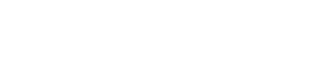 AppAid logo